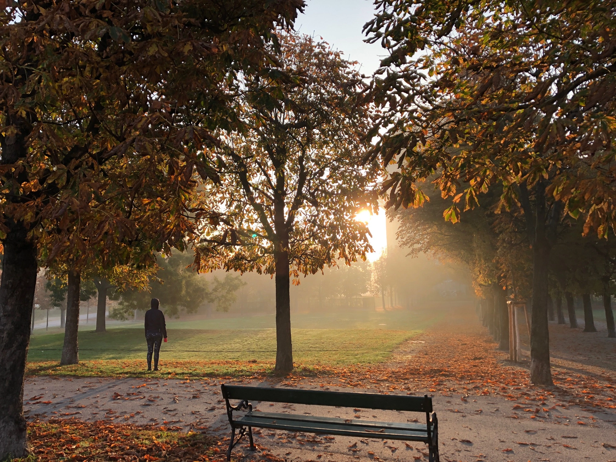 herbst augarten_manfred wiesinger