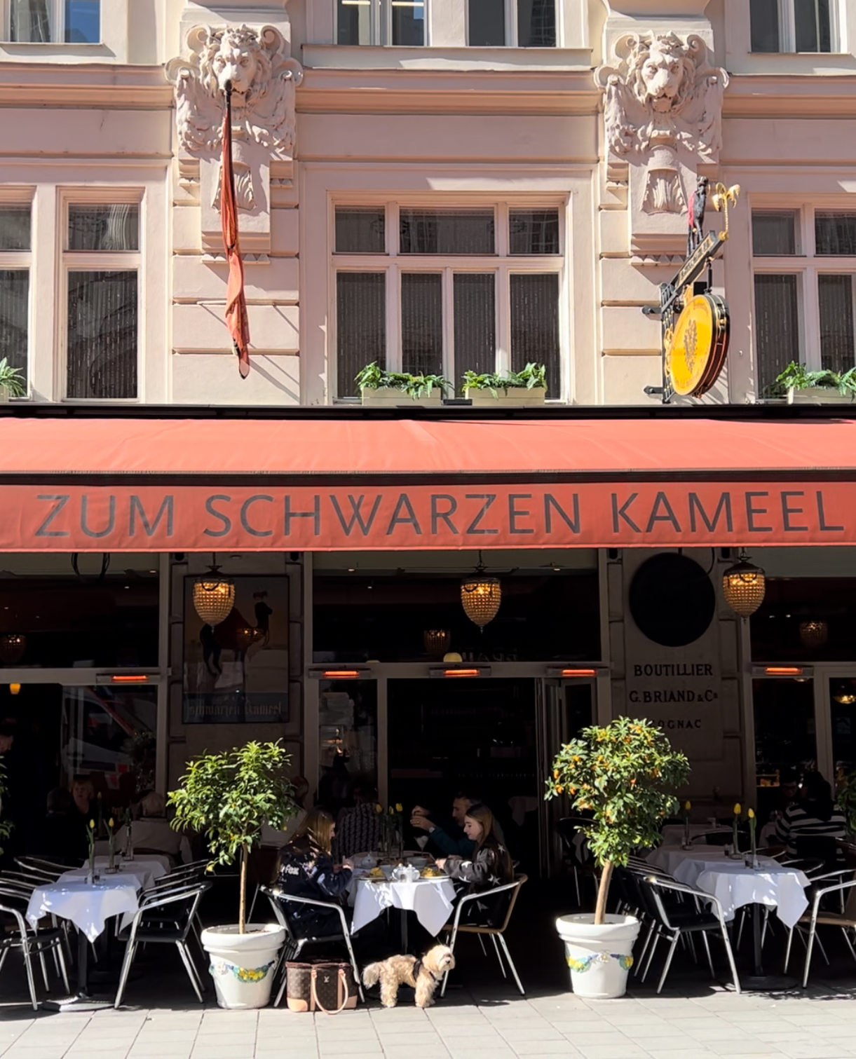 Zum Schwarzen Kameel