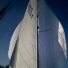 BlueSailor1055 Avatar